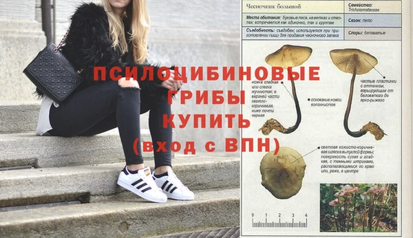 герыч Богданович
