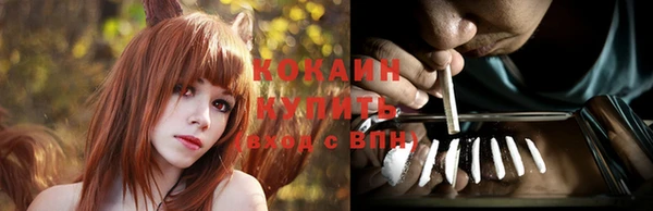 сатива Богородск