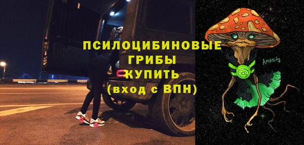 сатива Богородск