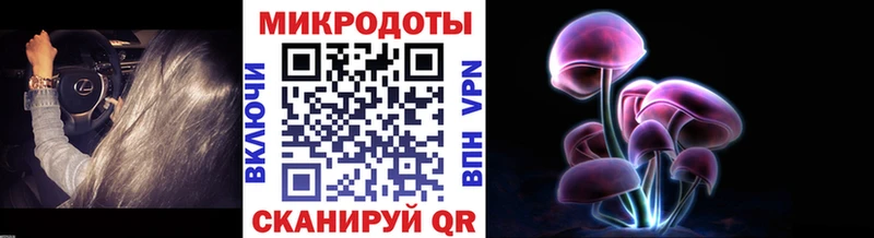 Псилоцибиновые грибы прущие грибы Верхний Уфалей