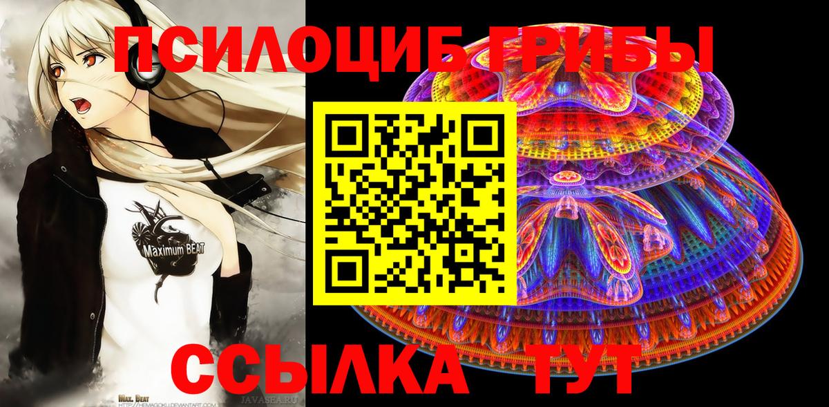 Верхний Уфалей  Галлюциногенные грибы Cubensis  Вход с VPN  Псилоцибиновые грибы Psilocybine cubensis 